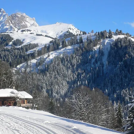 Plan Neve 5 By Interhome Διαμέρισμα Villars-sur-Ollon