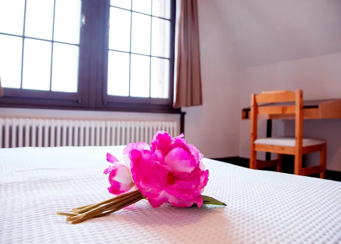 Plan Neve 5 By Interhome Villars-sur-Ollon