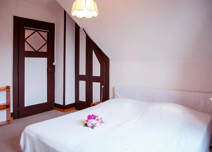 Plan Neve 5 By Interhome