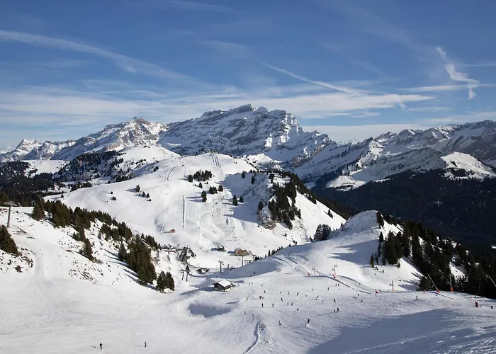 Plan Neve 5 By Interhome * Villars-sur-Ollon