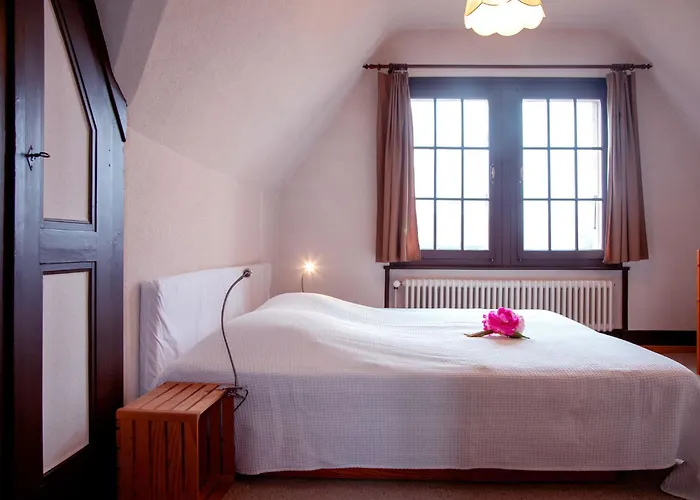 Plan Neve 5 By Interhome Appartement