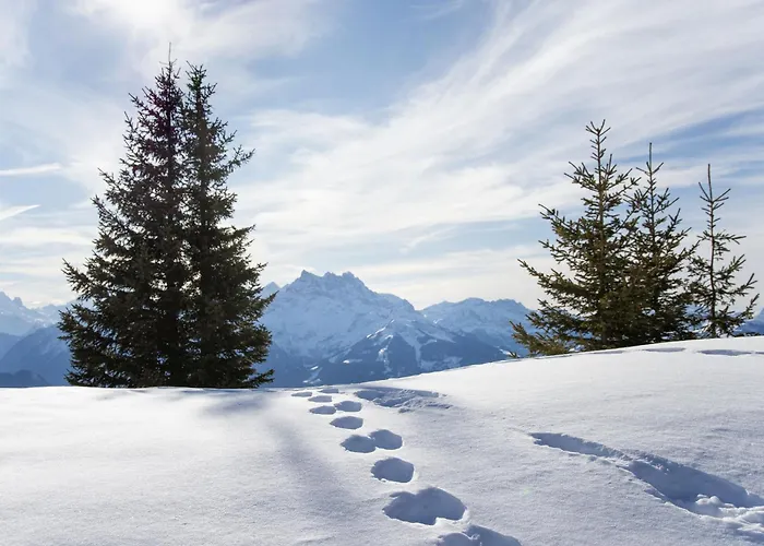 Plan Neve 5 By Interhome