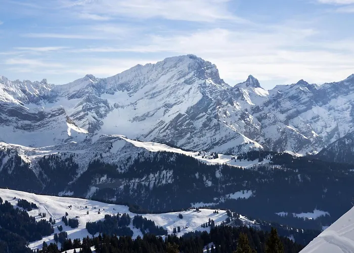 Plan Neve 5 By Interhome Villars-sur-Ollon